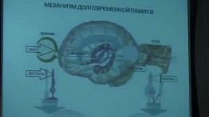 Юсупов Г.А. - Возможности комплекса "Юпрана"