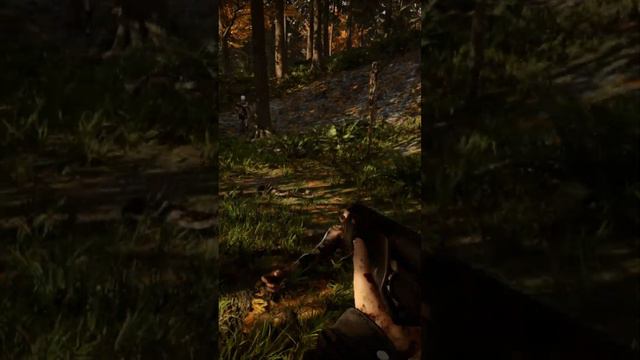 sons of the forest gameplay