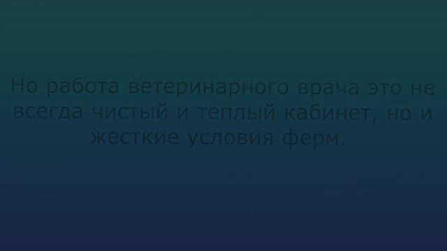 Профессия ветеринар глазами студента