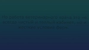 Профессия ветеринар глазами студента