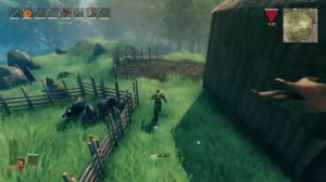 Valheim КАК САЖАТЬ РАСТЕНИЯ?