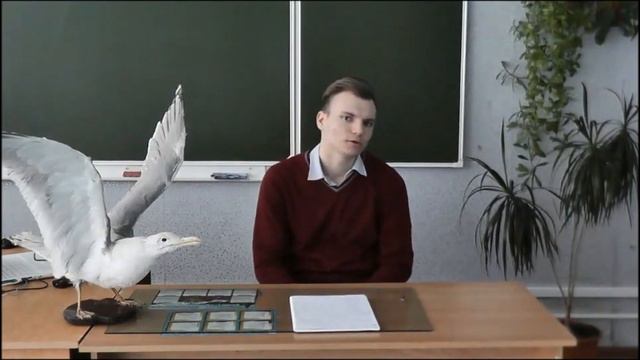 Прикольное поздравление с 8 марта смотреть онлайн