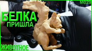Лепка из пластилина. Белка лепка животного. Пластилиновая белка.