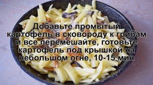 КАК ПРИГОТОВИТЬ ЖАРЕХУ С ГРИБАМИ? Простая и сытная жареха с грибами и картошкой на сковороде