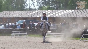 КСК Пальмира. Ирина Попова. Показательное выступление.