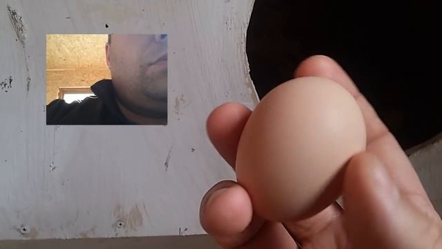 #4. Утепленный курятник на 10 кур смотреть онлайн