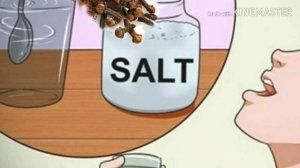 Как же полезна гвоздика! Несколько рецептов для вас!