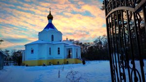 КЗТЗ. Прогулка по сосновому лесу. Храм Великомученика Пантелеимона.  Курск.