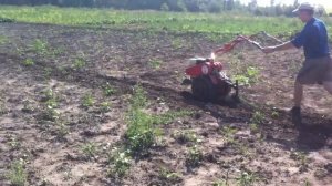 Культивация мотоблоком"АГАТ"