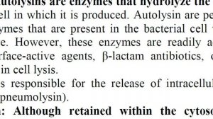 Pneumococci  نظري