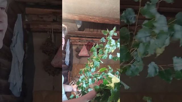 Как вязать березовый веник. смотреть онлайн