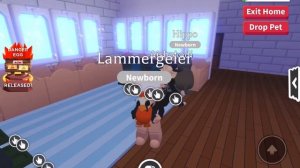 ОТКРЫВАЮ 10 НОВЫХ ОПАСНЫХ ЯИЦ В АДОПТМИ С СЕСТРЕНКОЙ! ЧТО НАМ ВЫПАЛО? Adopt Me Roblox