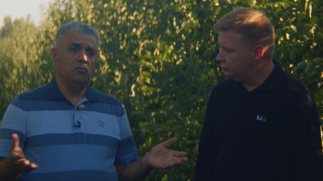 Выращивание яблоневого сада. Уборка, хранение и реализация яблок