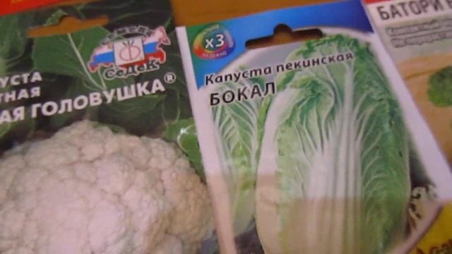 КАКИЕ СОРТА КАПУСТЫ ЛУЧШЕ ПОСЕЯТЬ ? РЕКОМЕНДОВАННЫЕ СОРТА. СОВЕТУЮ ПОСМОТРЕТЬ .