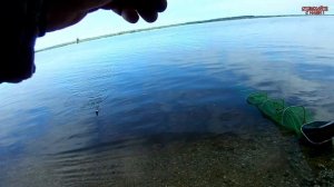 РЫБАЛКА НА ВОЛГЕ. Хорошее начало