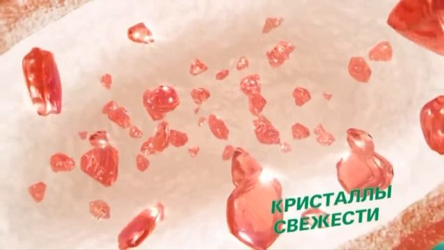 ПОЛИЩУК Реклама Dirol x fresh Новый дизайн 2016 смотреть онлайн