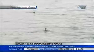 Аральское море возвращается к жизни(The Aral sea is coming back to life)