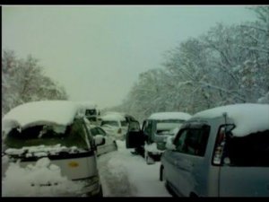 Итоги о проделанной работе 2023 pds