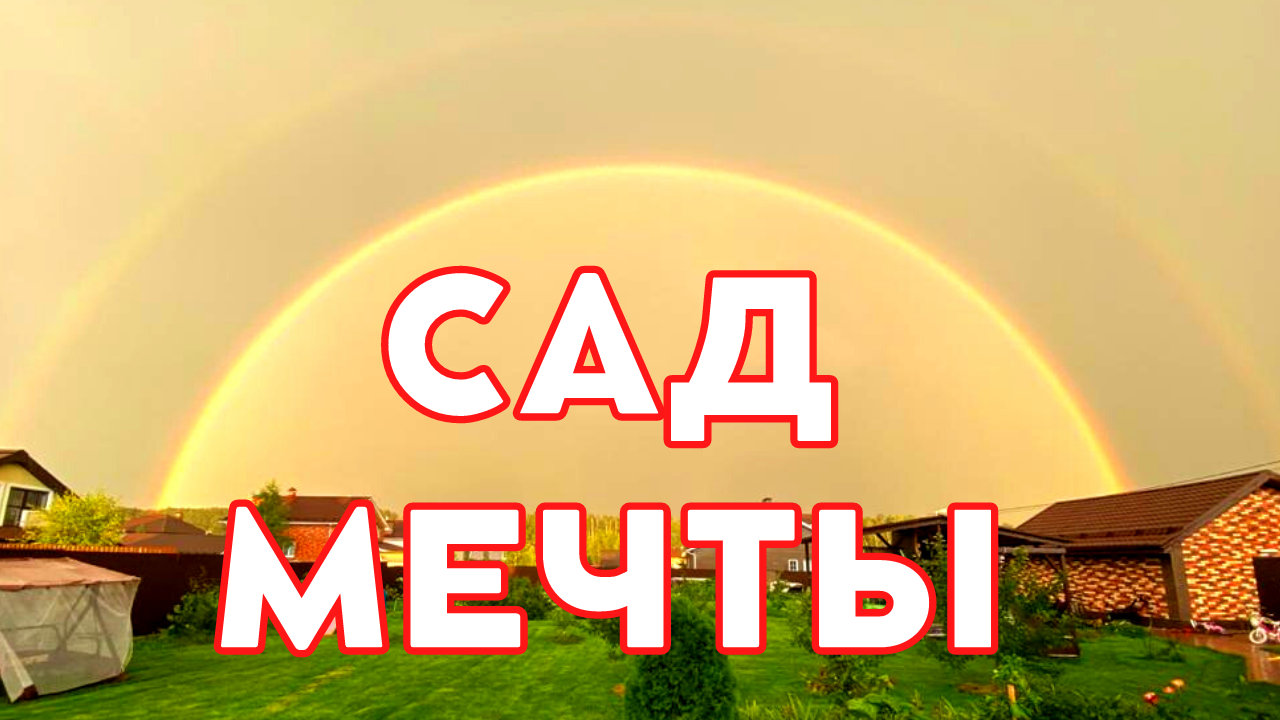 как посадить сад, секреты посадки плодового сада от А до Я или сад мечты