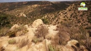 Отдых в Марокко