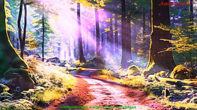 Успокаивающая и Исцеляющая Медитация смотреть онлайн