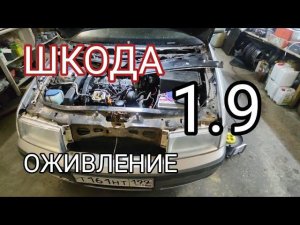 Оживление Шкоды 1.9TDI. Стояла почти 2 года.