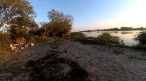 карп захотел ферментированную кукурузу / Рыбалка это жизнь
