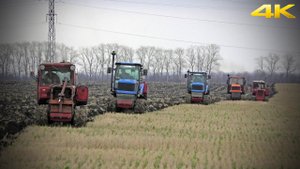 МЕГА-ВСПАШКА ПО-РУССКИ: тракторы Агромаш 90, ВТГ90 и ДТ75. Russian plowing with caterpillar tractors