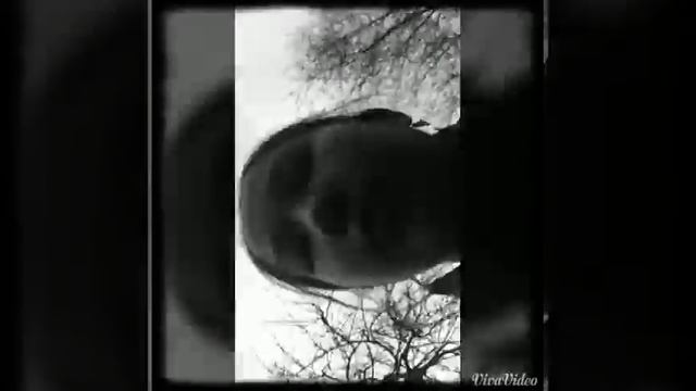 Дорога Домой, видеоарт, 1 мин 15 сек. Аура АК смотреть онлайн