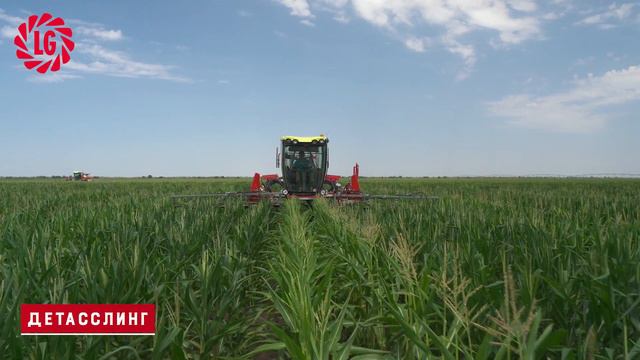 «Лимагрен» наращивает производство семян в России