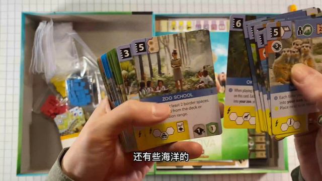 桌游崽儿 【方舟动物园】桌游开箱评测 Board Game Dude - 'Ark Nova' Unboxing смотреть онлайн