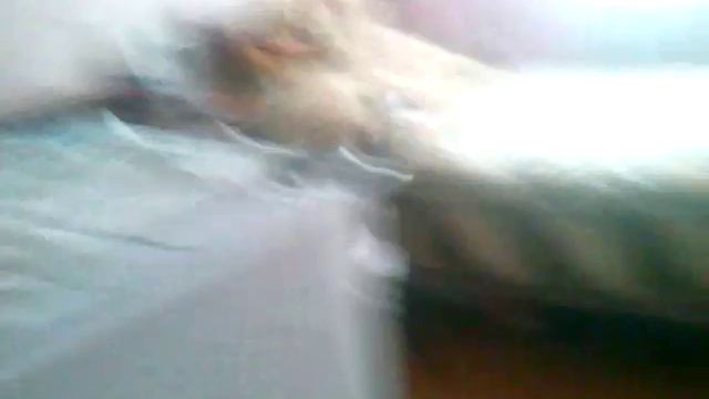 Обзор на квартиру смотреть онлайн