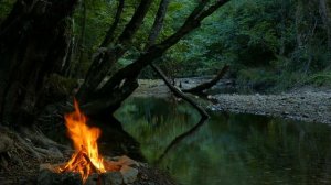 Горит костер у реки, красивое видео 25 минут