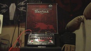 TAURUS STOMP-HEAD 4 HIGH GAIN BURNHEAD TEST