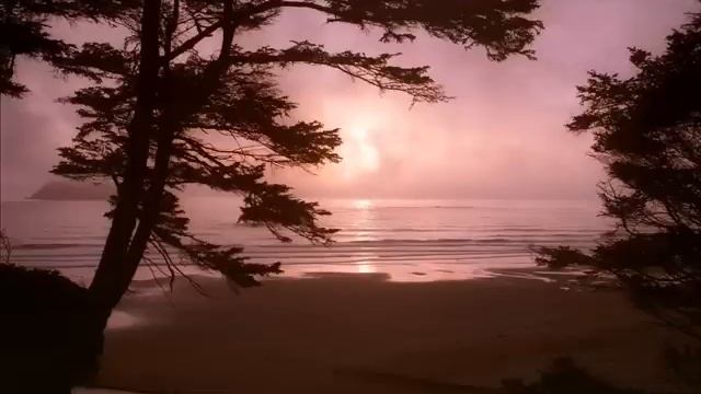 К Тебе, Спаситель мой, взываю смотреть онлайн