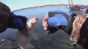 ЛОВЛЯ НА ФИДЕР ВЕСНОЙ ПО ХОЛОДНОЙ ВОДЕ