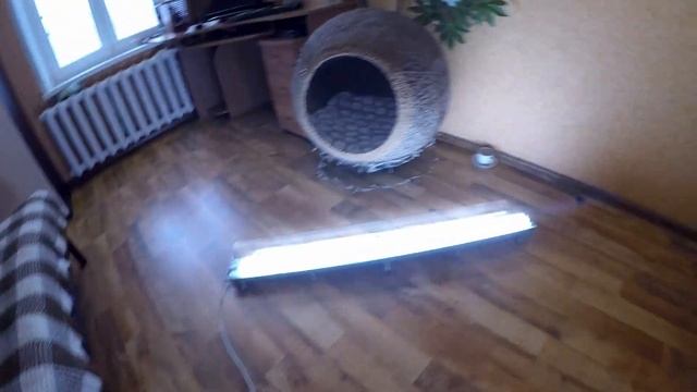 Лампа для подсветки рассады и растений.Покажу как собрал,повесил.Ждём хорошего урожая в 2021 году!