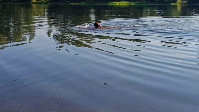 Польза холодной воды для ОРГАНИЗМА человека Закаливание смотреть онлайн