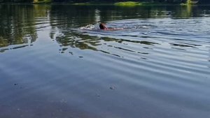 Польза холодной воды для ОРГАНИЗМА человека 
Закаливание