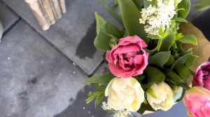 Тюльпаны в моем саду