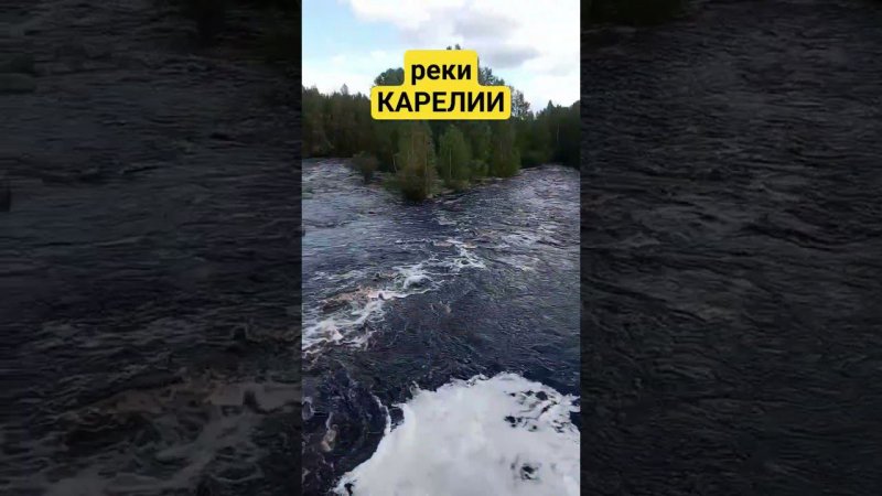 Реки Карелии #природа #река #красота #карелия #_туристыавантюристы_ #shortvideo #туризм #shorts