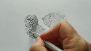 Рисунок сосновой шишки.