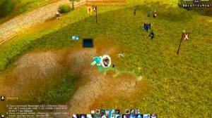 Шальной фрост маг против анхоли дк