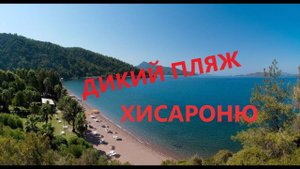 ТУРЦИЯ.Voxx Marmaris Beach Resort,дорога из отеля на дикий пляж через гору.Встретили ящерицу.