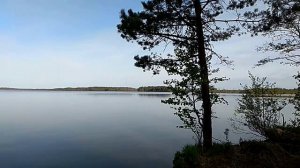 Озеро Вилея. Россия. Новгородская область.