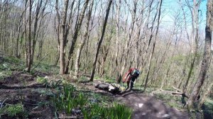 FXmoto X1 172fmm  не едет !!!