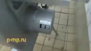 Пила ленточная КТ400. Пила для мяса и костей. Обзор.