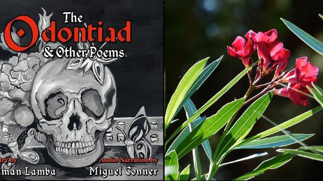 Sonnet 9: The Odontiad смотреть онлайн