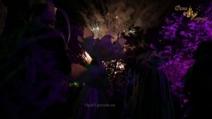 Фейерверк на день рождения для детей "Дисней" музыкальный салют от Огни в Городе