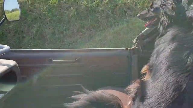 R2067 full cabrio (part2) смотреть онлайн